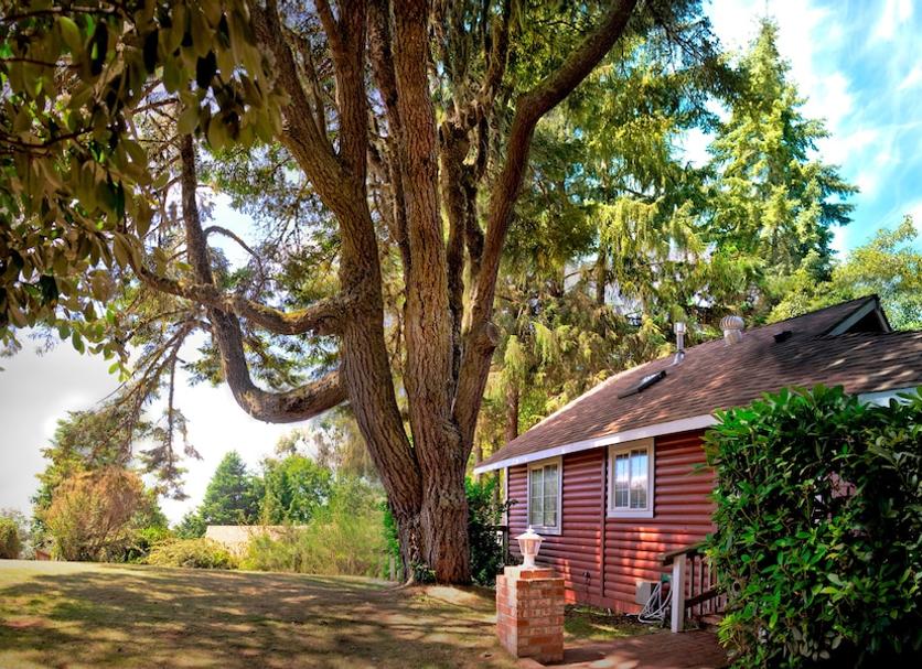 Outdoors view Photo