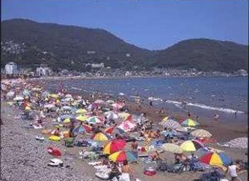 Other Photo