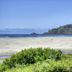 Little Creek Cove Beach Resort in Newport with oceanfront beach, dunes, and coastal headland views