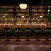 The Hollywood Grande, Autograph Collection bar with shelves of bottles, green stools, and palm plants in Los Angeles