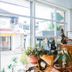 Jazmine's Place Coron reception desk with potted plants and large front window