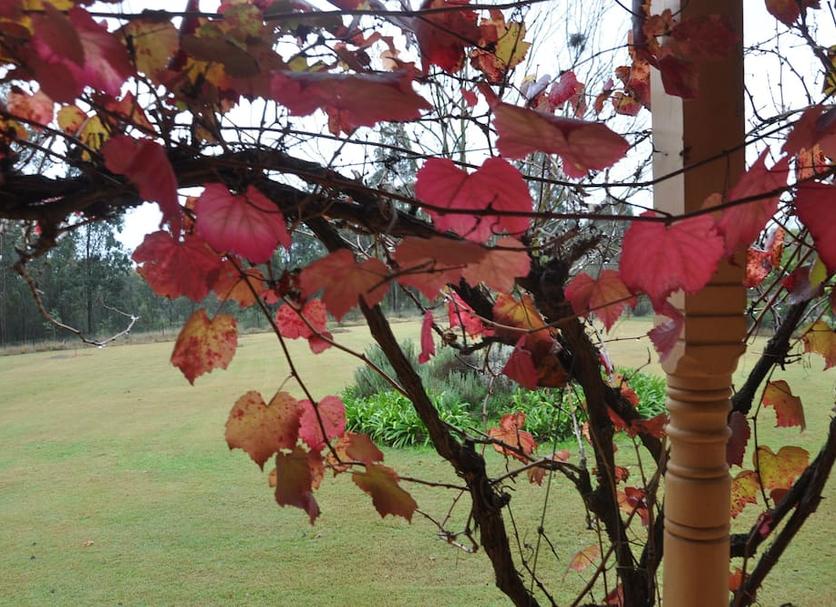 Outdoors view Photo