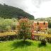 Outdoors view