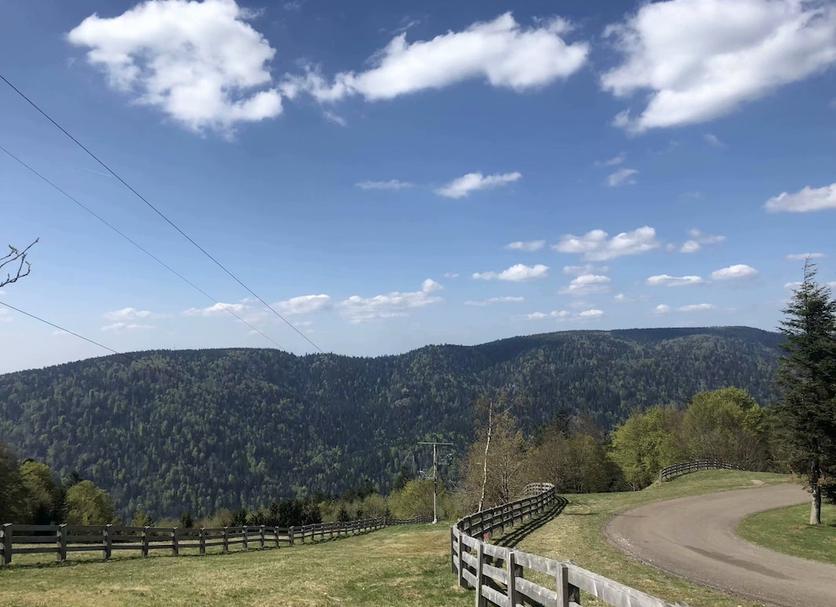 Outdoors view Photo