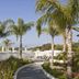 Christofinia Hotel in Ayia Napa with palm-lined path beside pool loungers and white hotel buildings