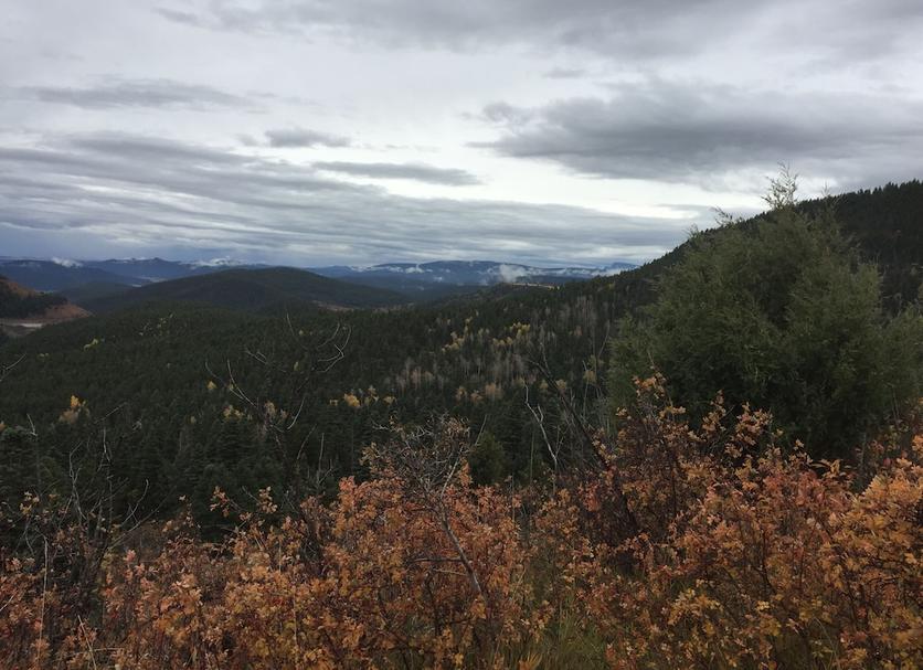 Outdoors view Photo