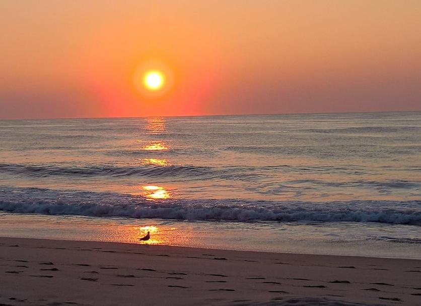 Beach Photo