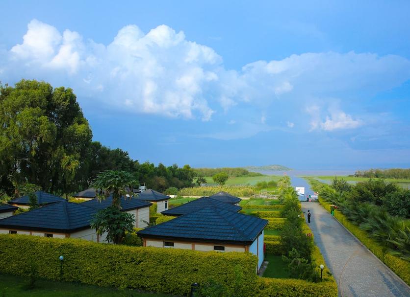 Outdoors view Photo