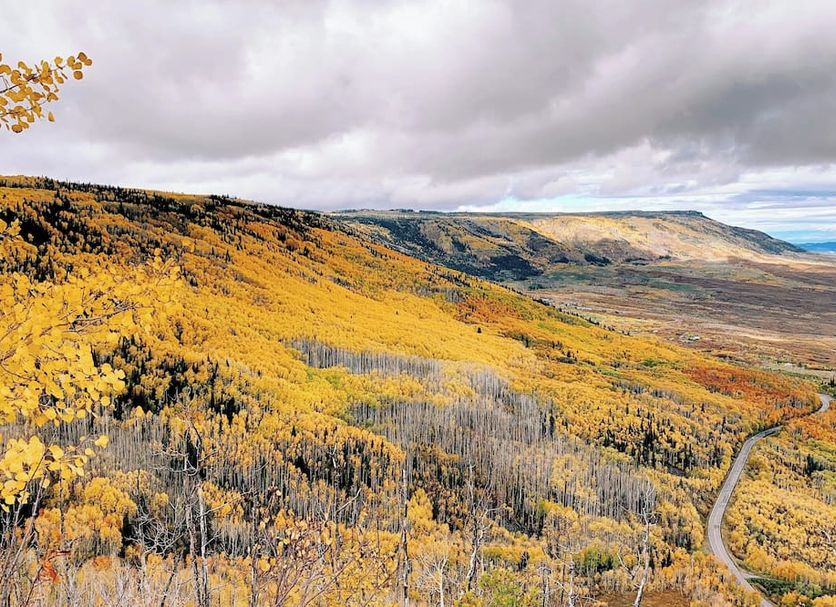 Outdoors view Photo
