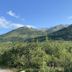 Denali RV Park and Motel in Healy with mountain views and lush green forest under a blue sky