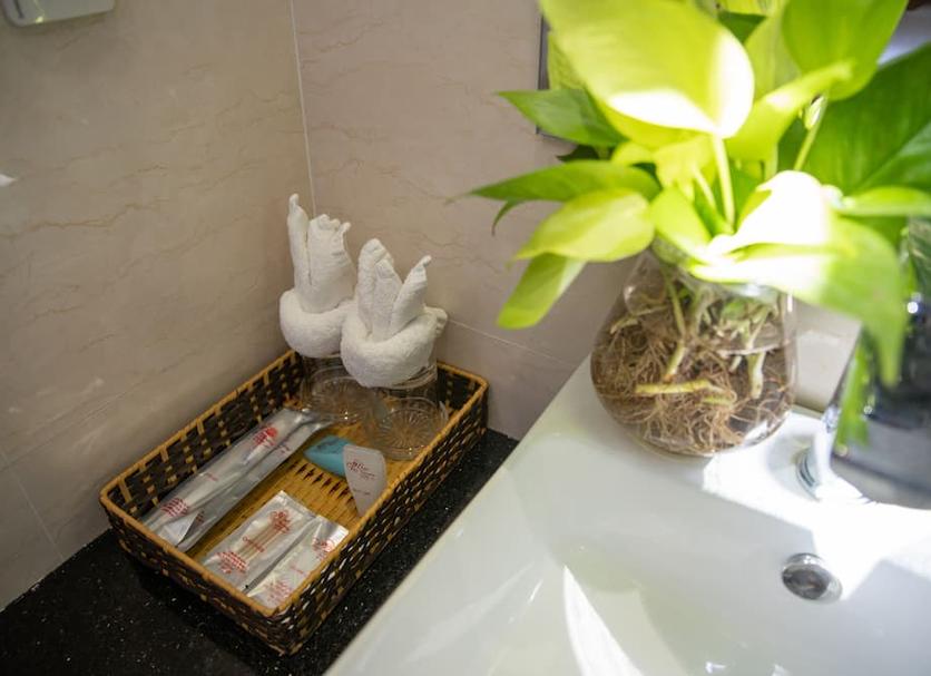 Room amenity Photo