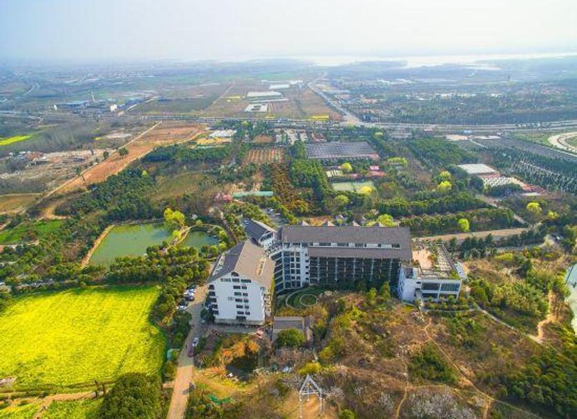 Outdoors view Photo