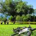 Outdoors view