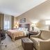 Quality Inn West Plano - Dallas guest room with king bed, desk, TV, and seating area in Plano