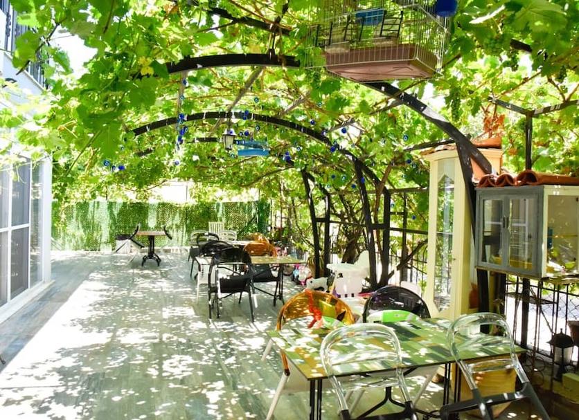 Patio Photo