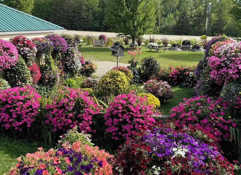 Outdoors view Photo