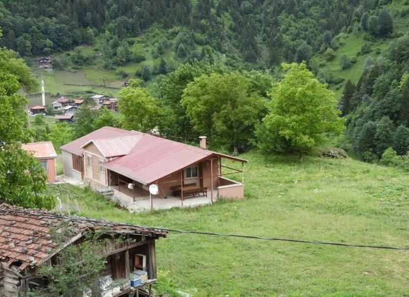 Other Photo
