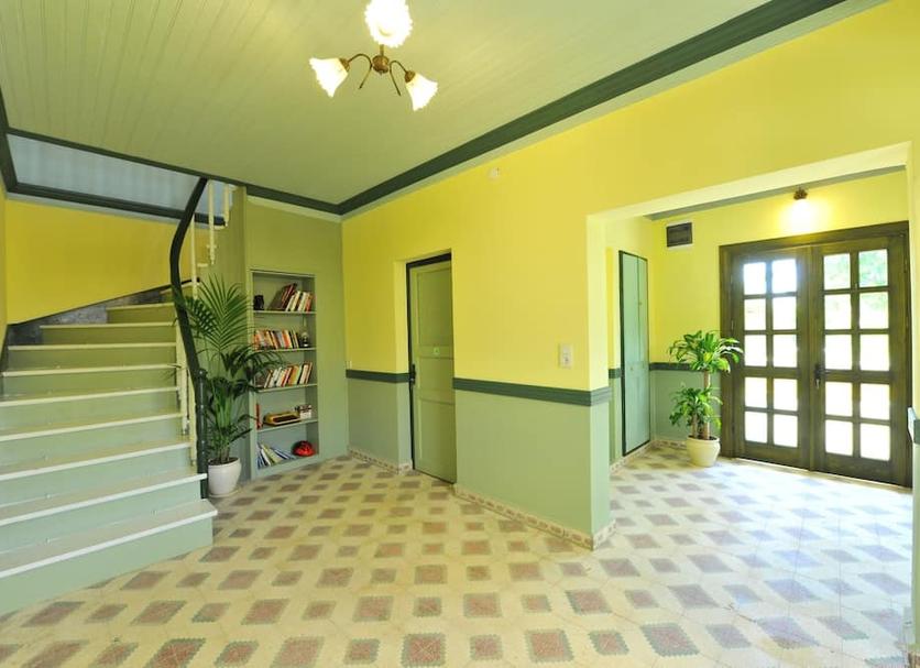 Stairs Photo