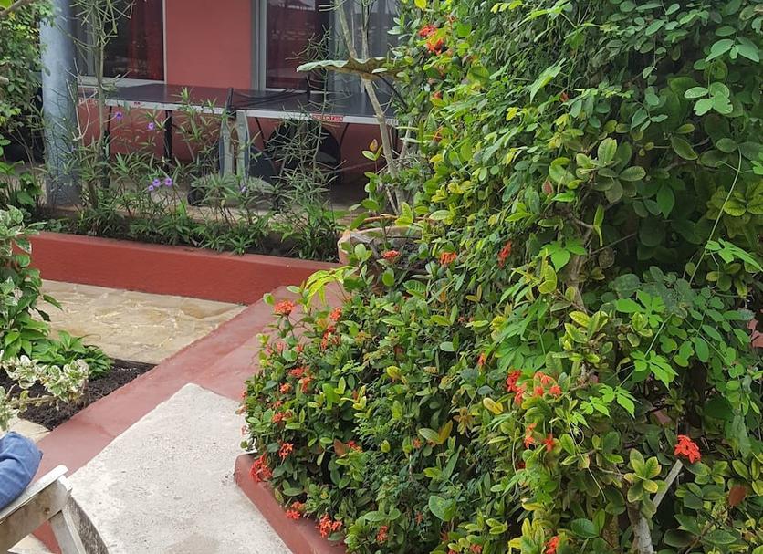 Outdoors view Photo