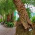 Outdoors view