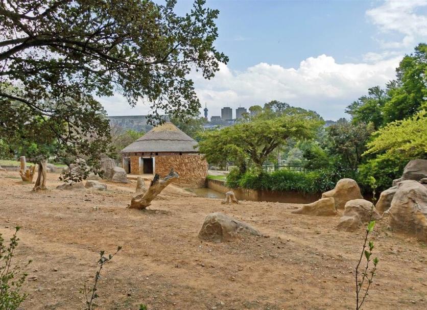 Outdoors view Photo