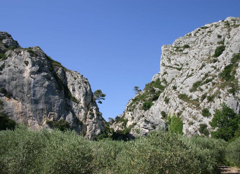 Other Photo