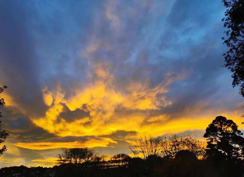 Highland House Boutique Hotel, Dunedin, with dramatic sunset sky over silhouetted trees