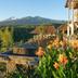 Outdoors view