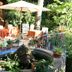 Hotel Rosa Del Tirreno in Quercianella garden terrace with tables, umbrella, and small decorative pond