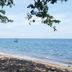 Mike's Dauin Dive Resort in Dauin with a quiet beachfront and ocean view framed by trees