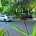 Outdoors view