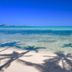 Coconut Beach Resort, Tavewa Island, beach with clear turquoise water and palm shadows