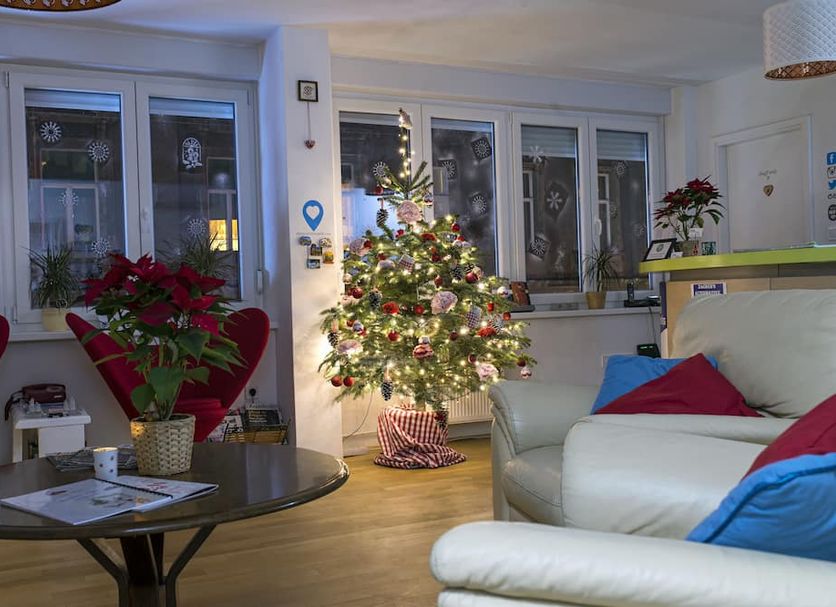 The Dots Hostel in Zagreb lobby with decorated Christmas tree, seating area, and large windows