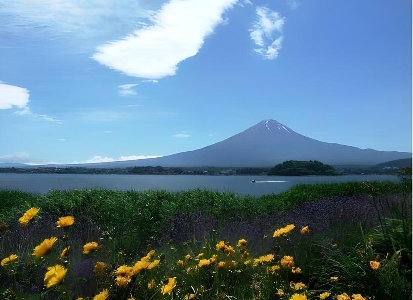 Outdoors view Photo