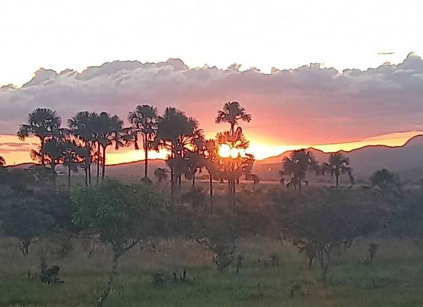 Outdoors view Photo