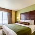 Cobblestone Hotel & Suites - Mccook guest room with king bed, bedside lamps and window view