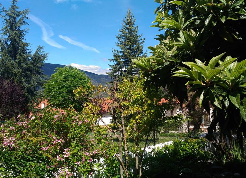 Outdoors view Photo