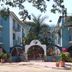Hotel Delphinus Inn in La Crucecita with tropical courtyard, arched entry, palm trees and colorful buildings