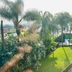 Hotel Grand Vista Cuernavaca in Cuernavaca, lush garden with palm trees and a small outdoor pool