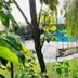 Hotel Grand Vista Cuernavaca pool area with palm trees and lounge chairs in Cuernavaca