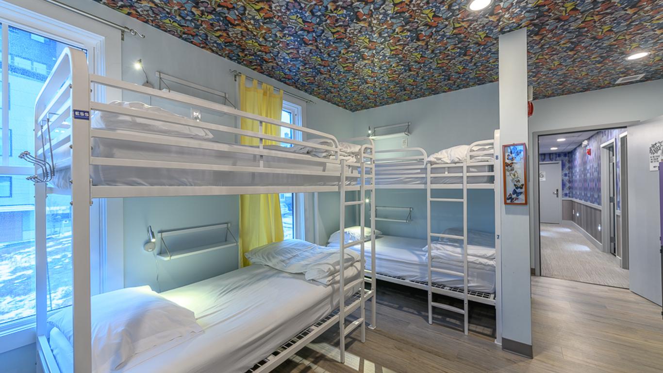 Black Elephant Hostel