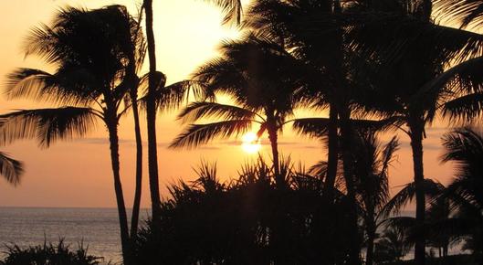 One Bedroom Vacation Rental in Waikiki Grand - Honolulu - Attractions