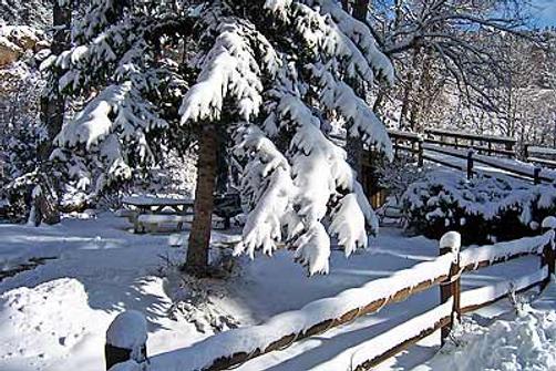 Four Seasons Inn - Estes Park