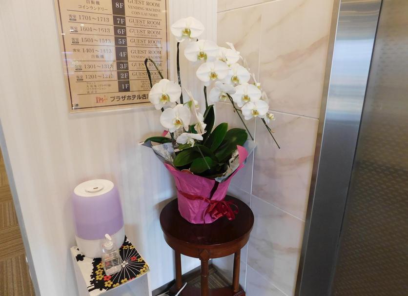Room amenity Photo