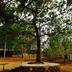 Outdoors view