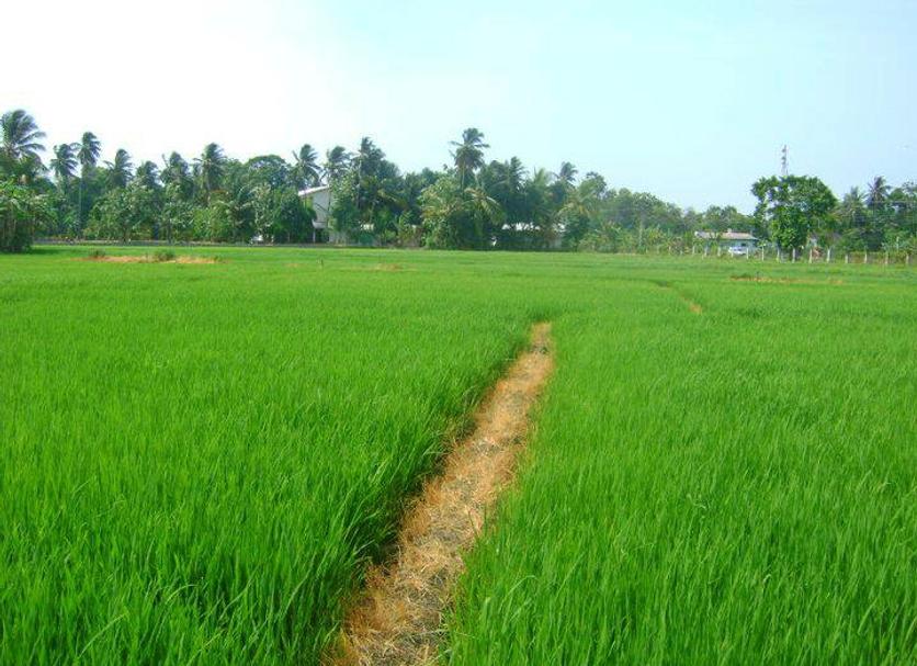 Outdoors view Photo