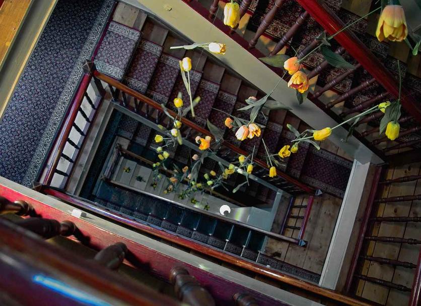 Stairs Photo