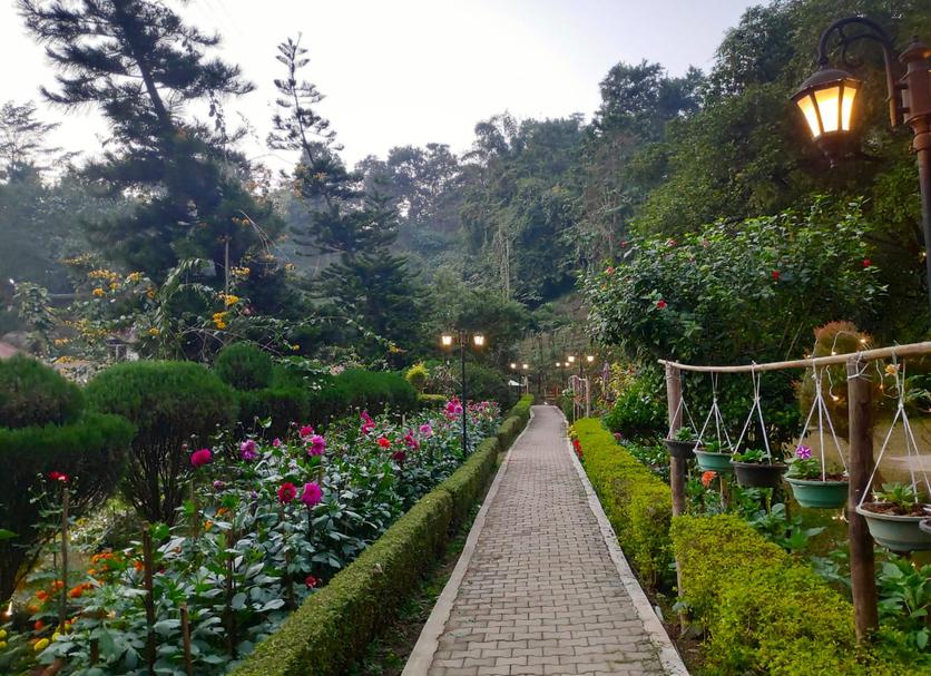 Outdoors view Photo