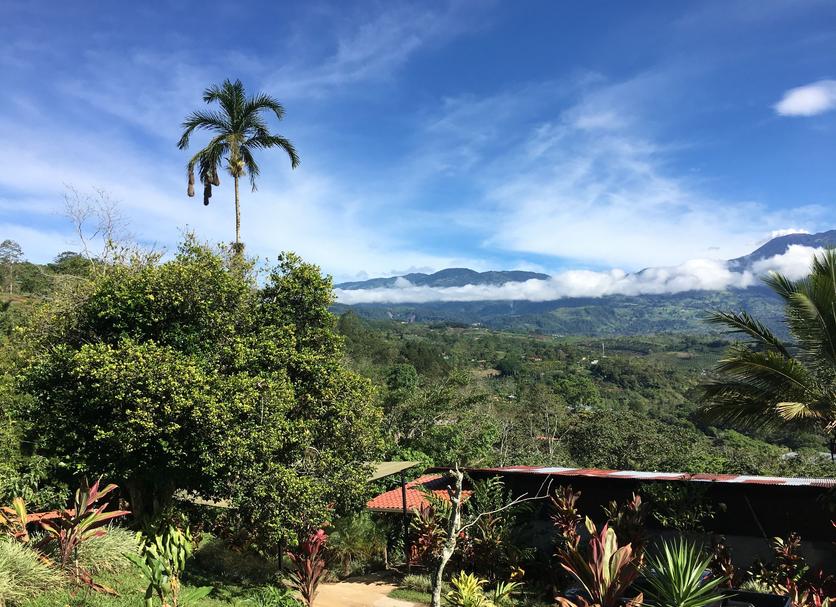 Outdoors view Photo
