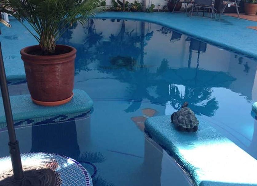 Pool Photo